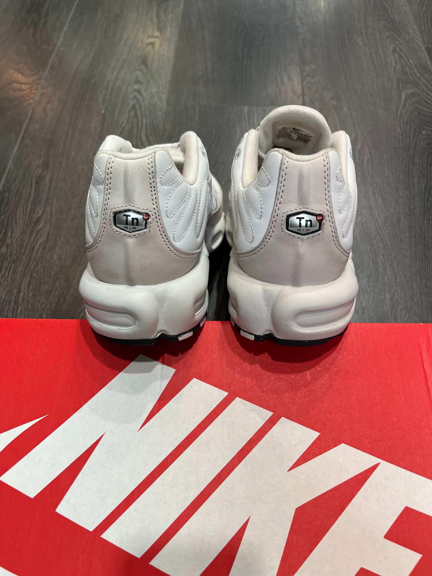 Nike Air Max Plus Platinum Tint