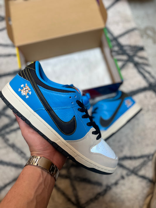 Nike Dunk Sb instant Skateboarding