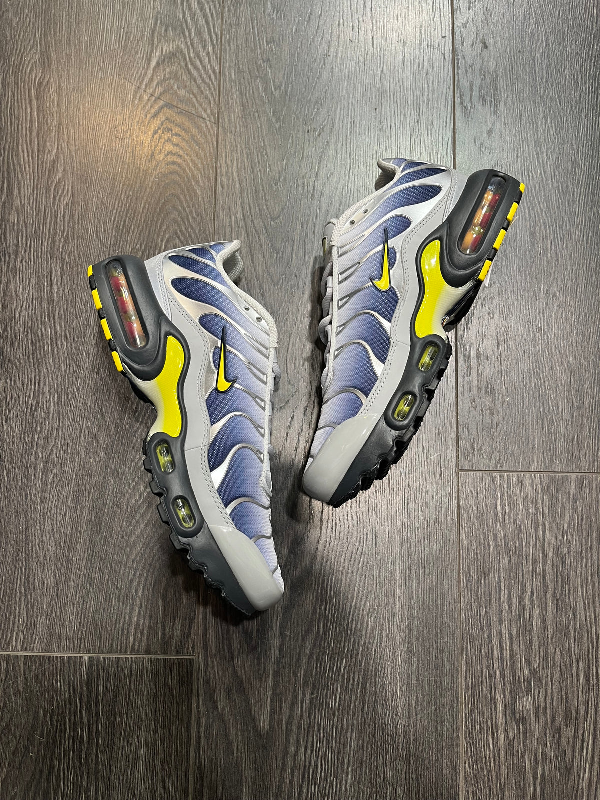 Nike Air Max Plus Obsidian Silver