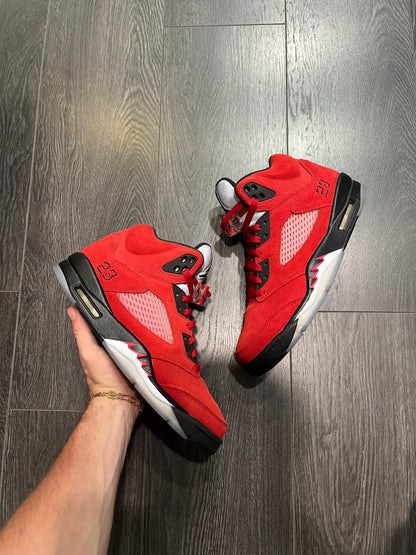 Air Jordan 5 Raging Bull