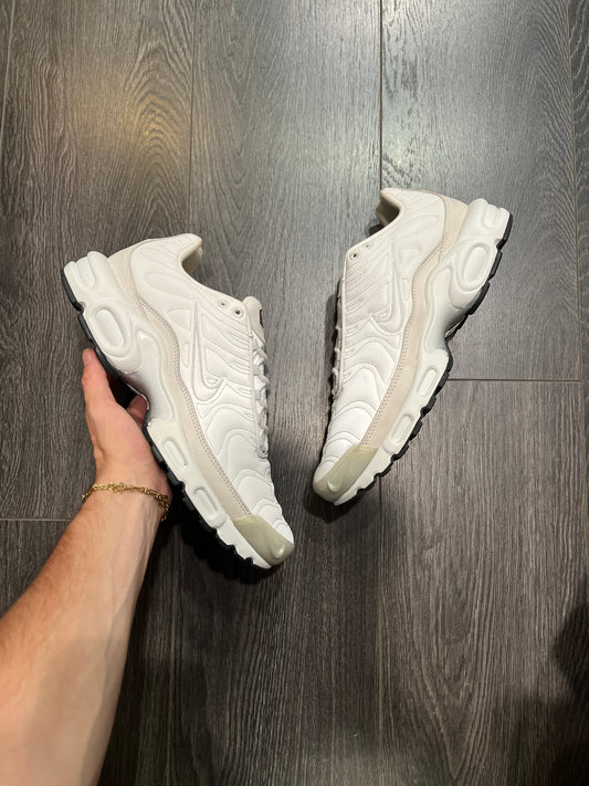 Nike Air Max Plus Platinum Tint