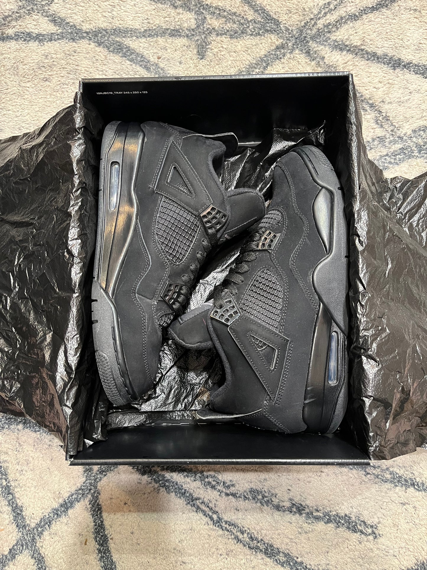 Air Jordan 4 Black Cat