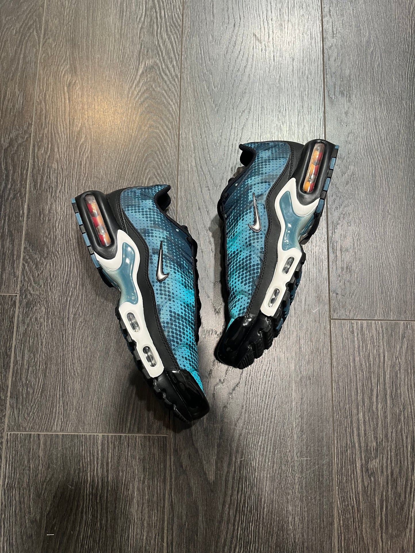 Nike Air Max Plus Photo Blue