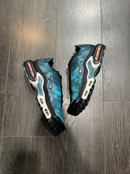 Nike Air Max Plus Photo Blue