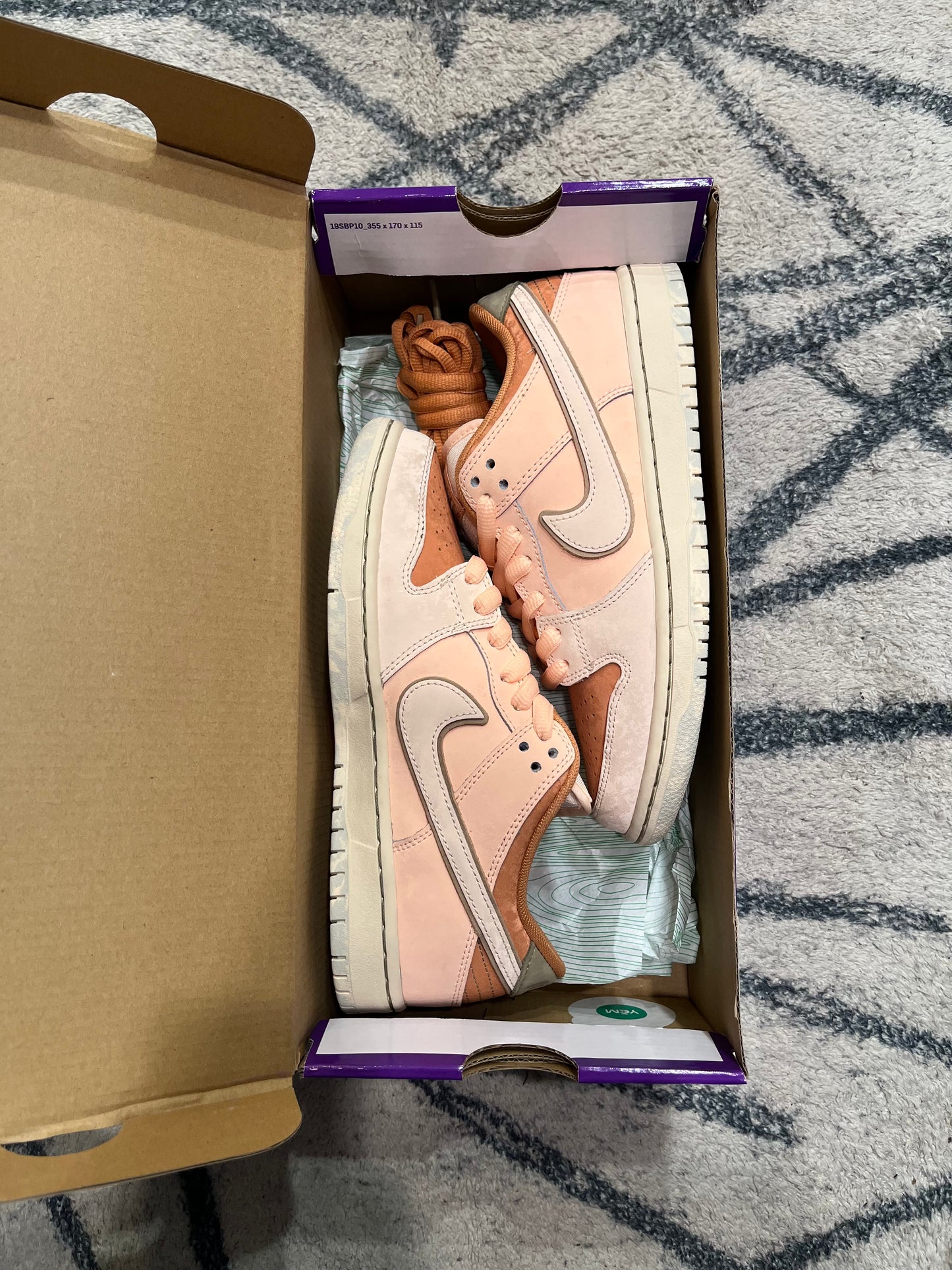 Nike Dunk SB Trocadero