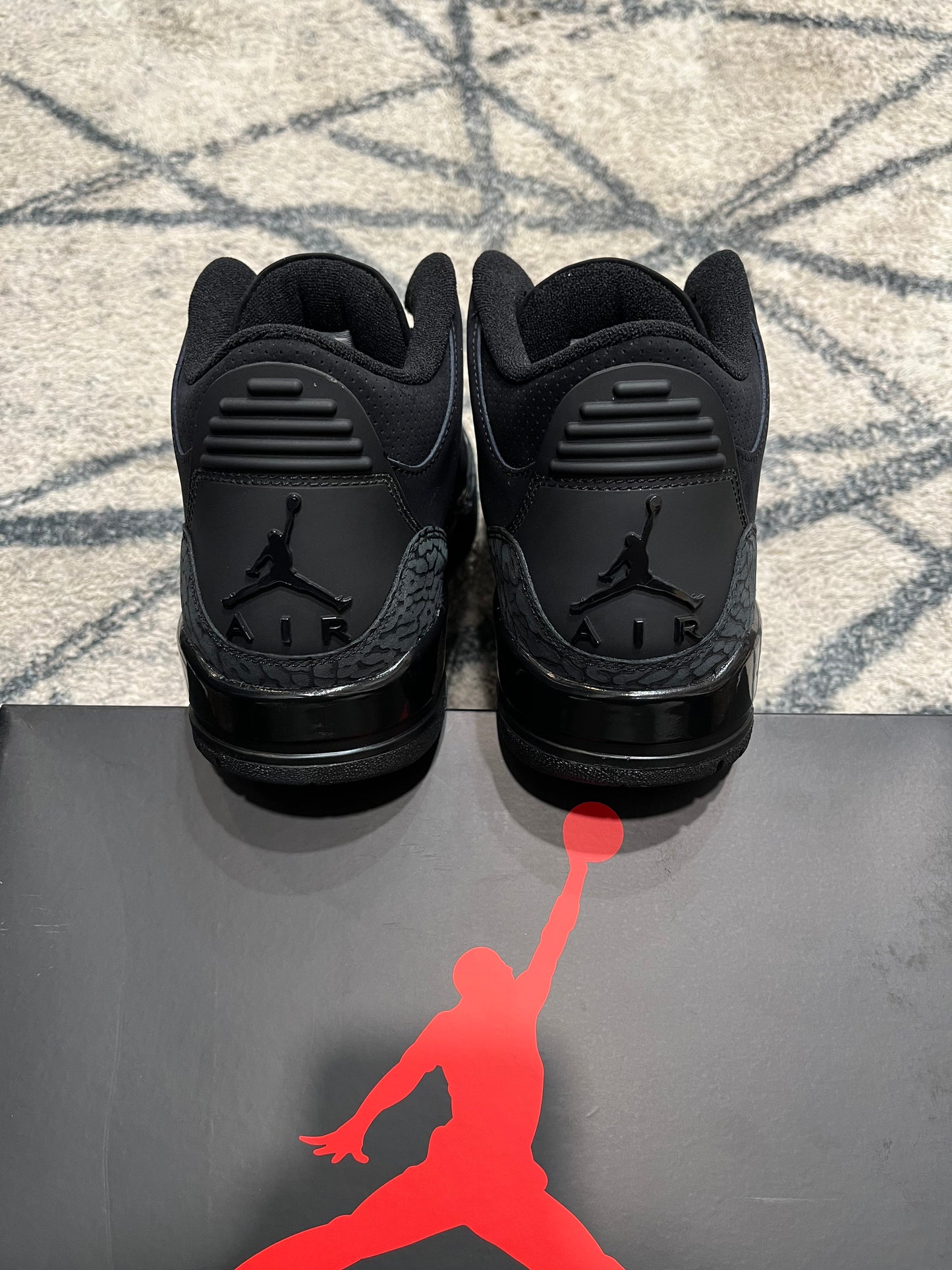 Air Jordan 3 Black Cat