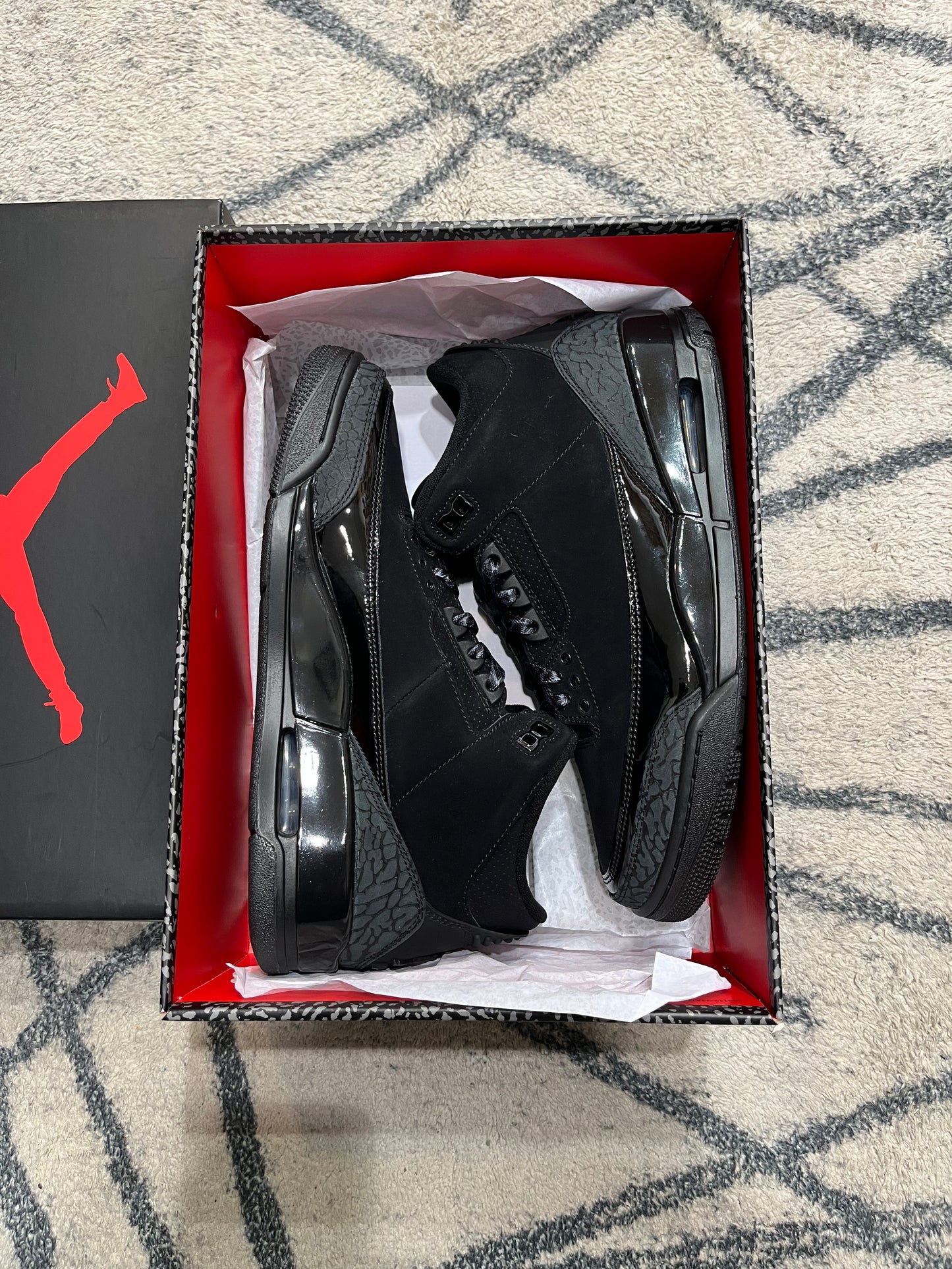 Air Jordan 3 Black Cat