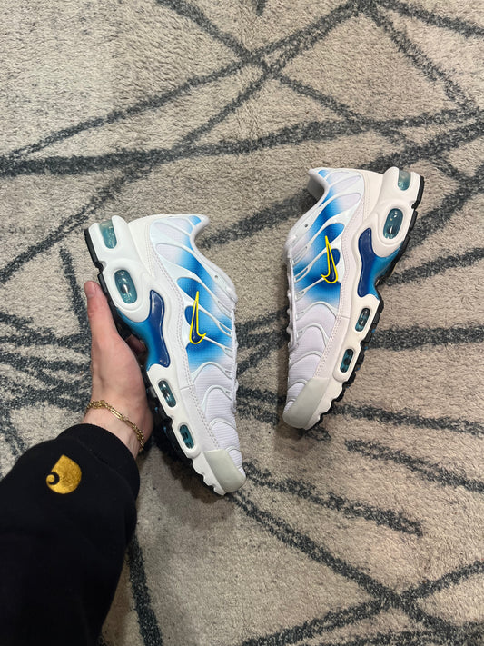 Nike Air Max Plus Spray Paint