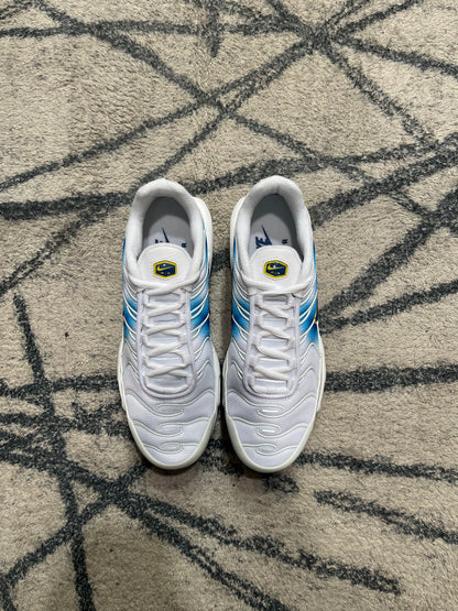 Nike Air Max Plus Spray Paint