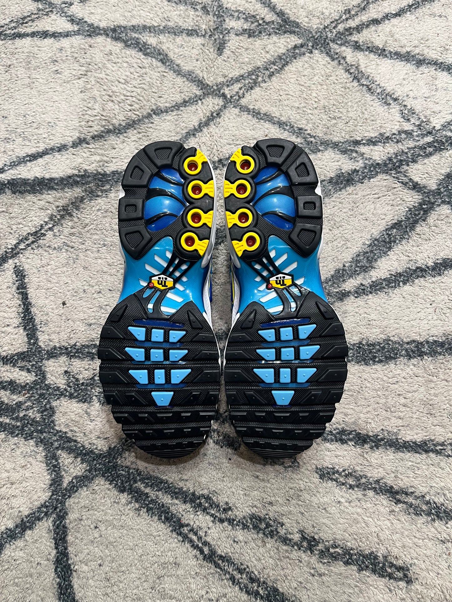 Nike Air Max Plus Spray Paint
