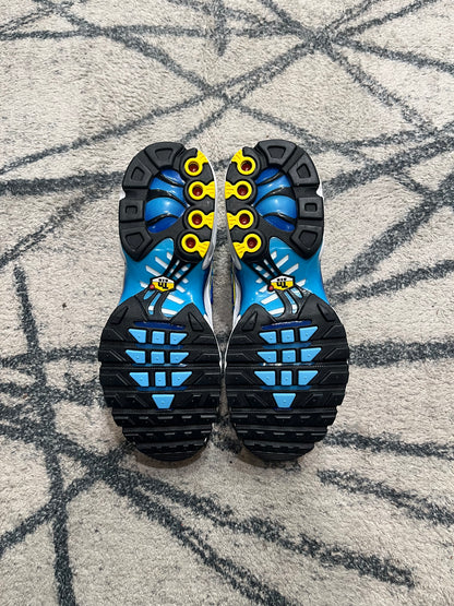 Nike Air Max Plus Spray Paint