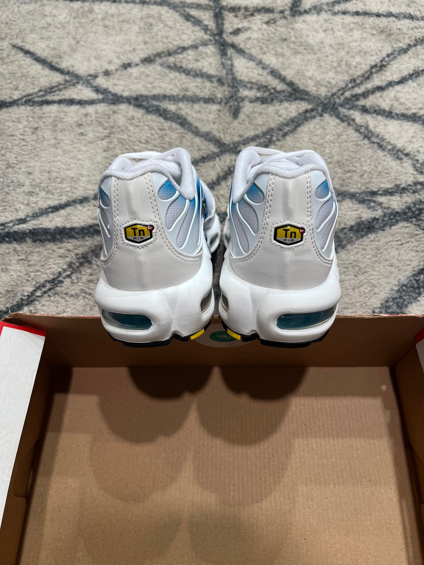 Nike Air Max Plus Spray Paint