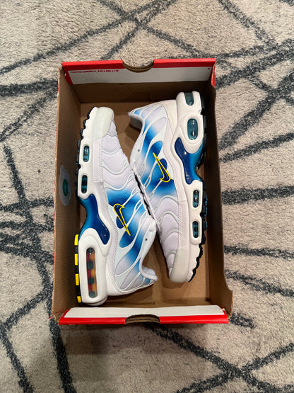 Nike Air Max Plus Spray Paint