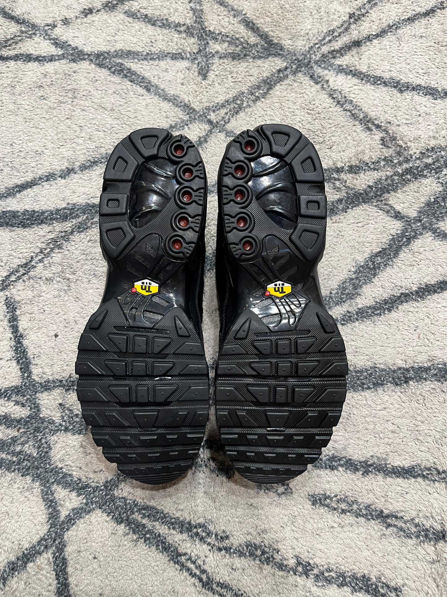 Nike Air Max Plus Cuir Triple Black