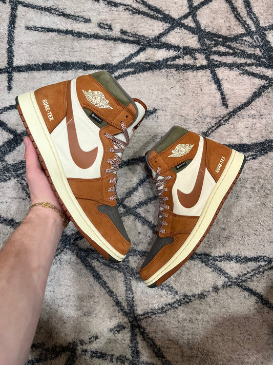 Air Jordan 1 High Element Gore Tex