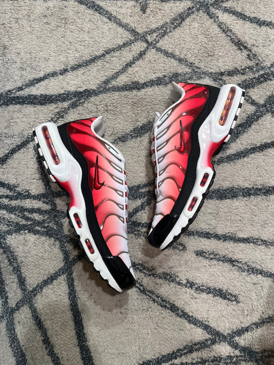 Nike Air Max Plus Gym Red