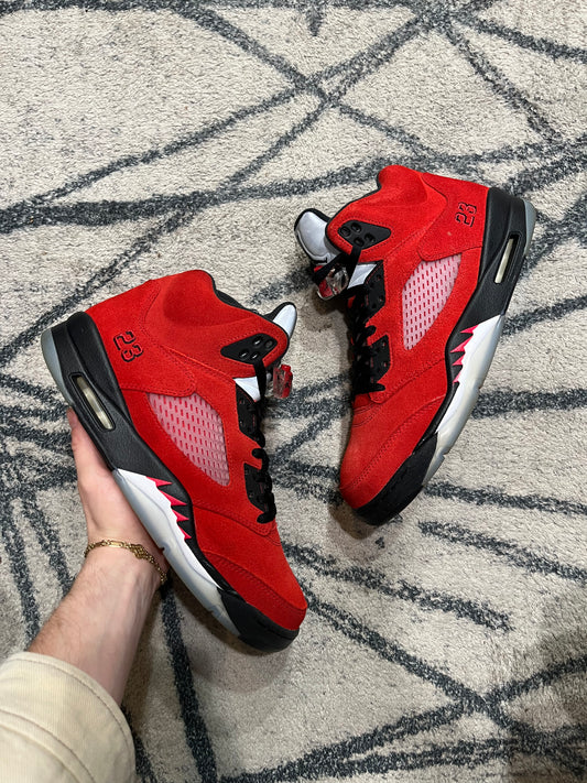 Air Jordan 5 Raging Bull
