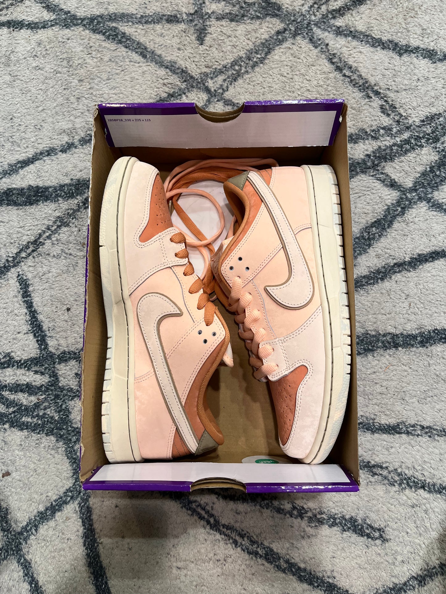 Nike Dunk SB Trocadero