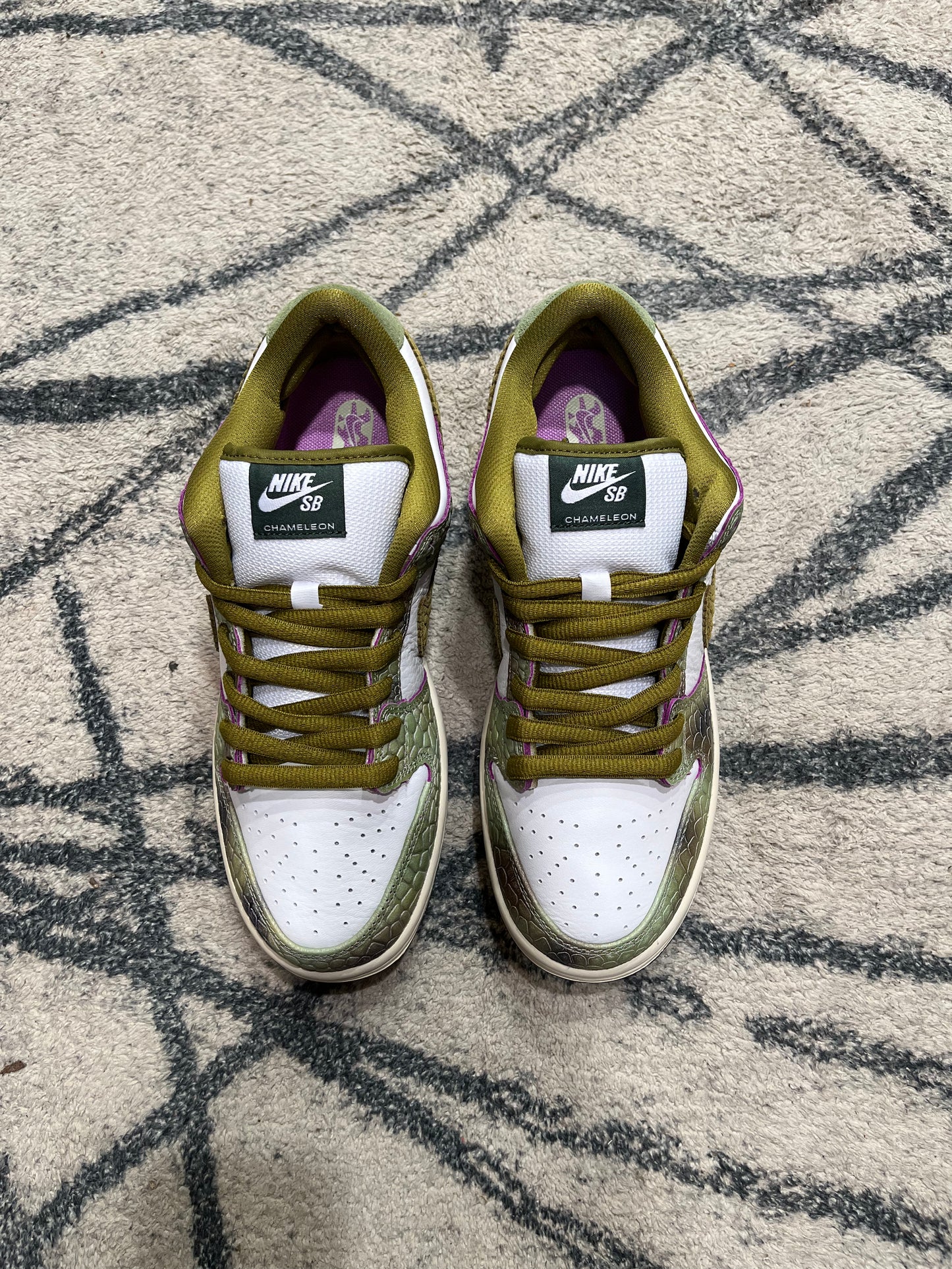 Nike Dunk SB Chameleon Alexis Sablone