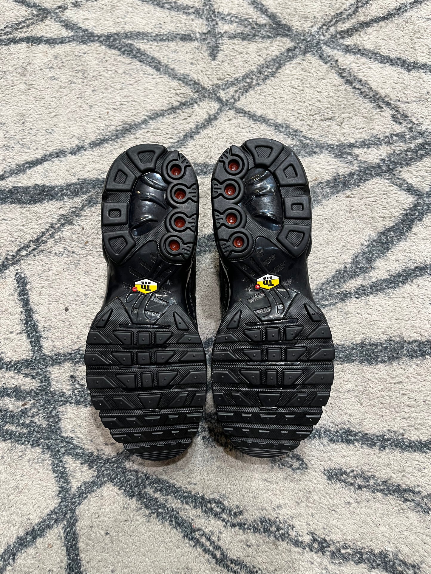 Nike Air Max Plus Cuir Triple Black