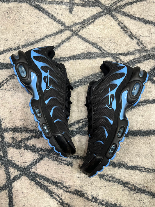 Nike Air Max Plus Back Blue