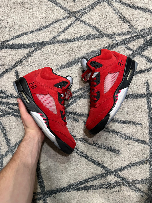 Air Jordan 5 Raging Bull