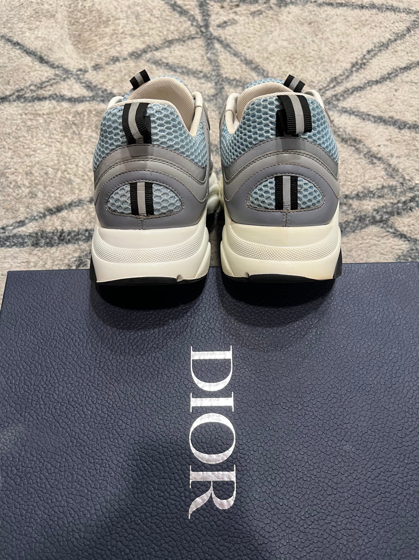 Dior B22 White Blue
