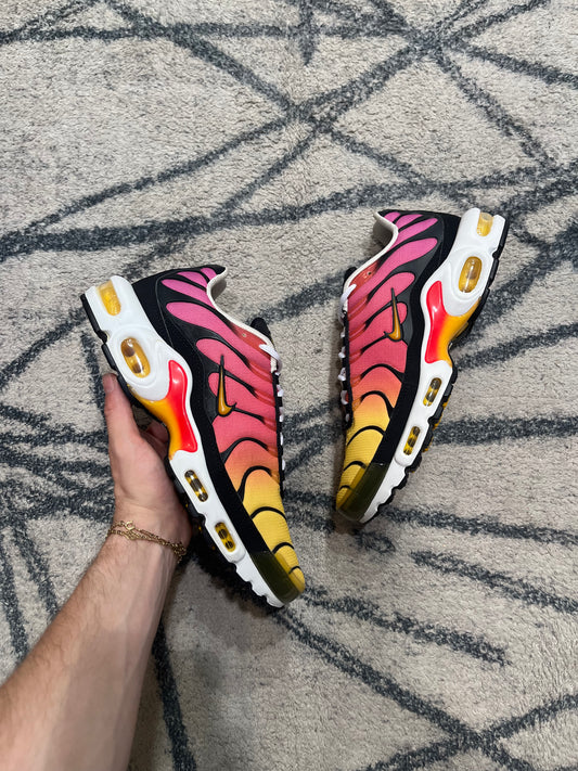 Nike Air Max Plus Gradient