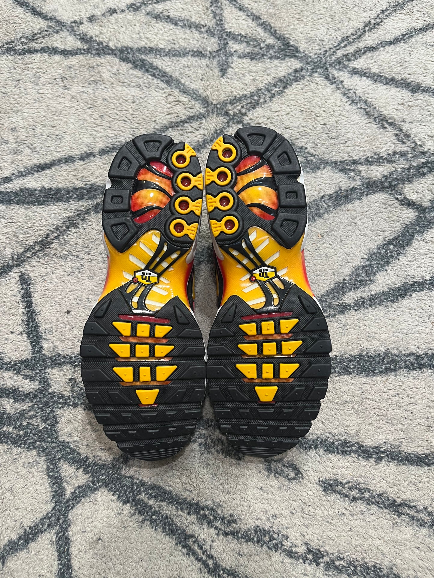 Nike Air Max Plus Gradient
