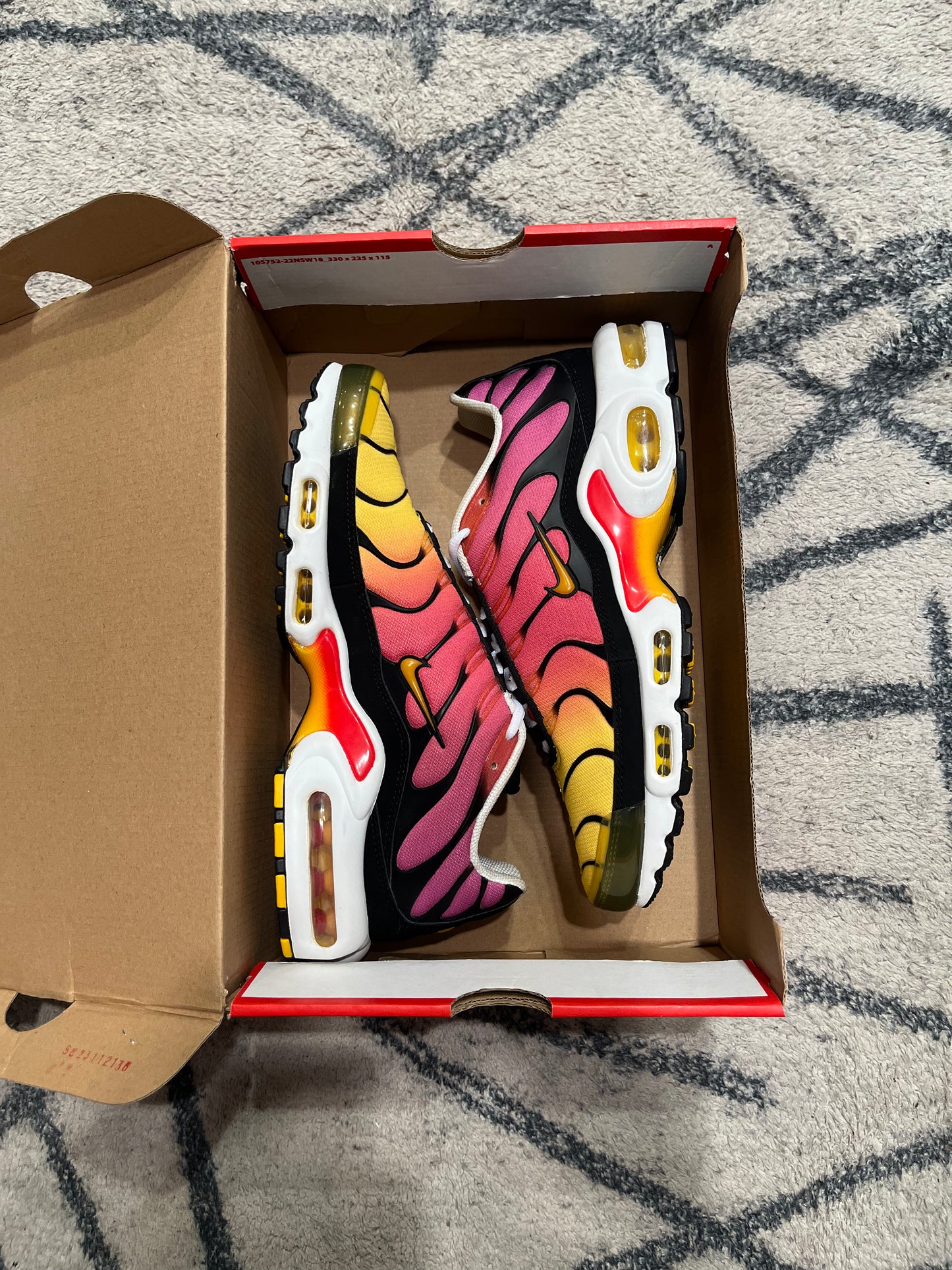 Nike Air Max Plus Gradient