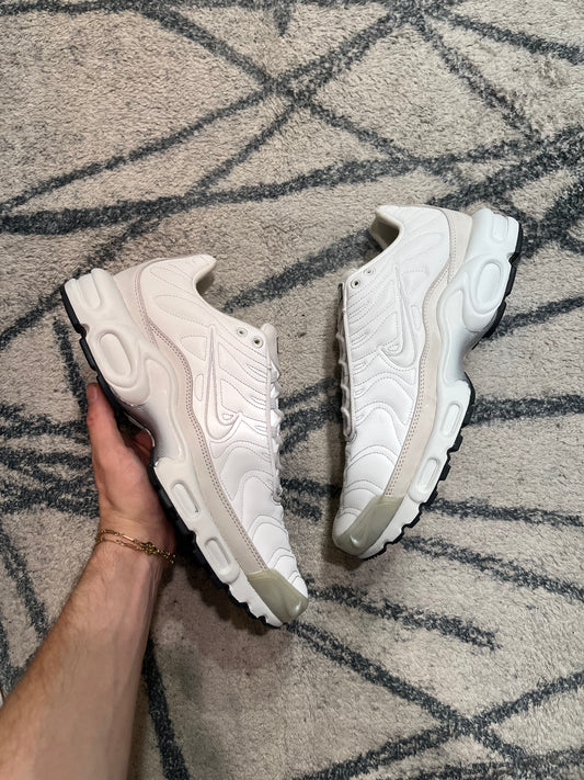 Nike Air Max Plus Platinum Tint