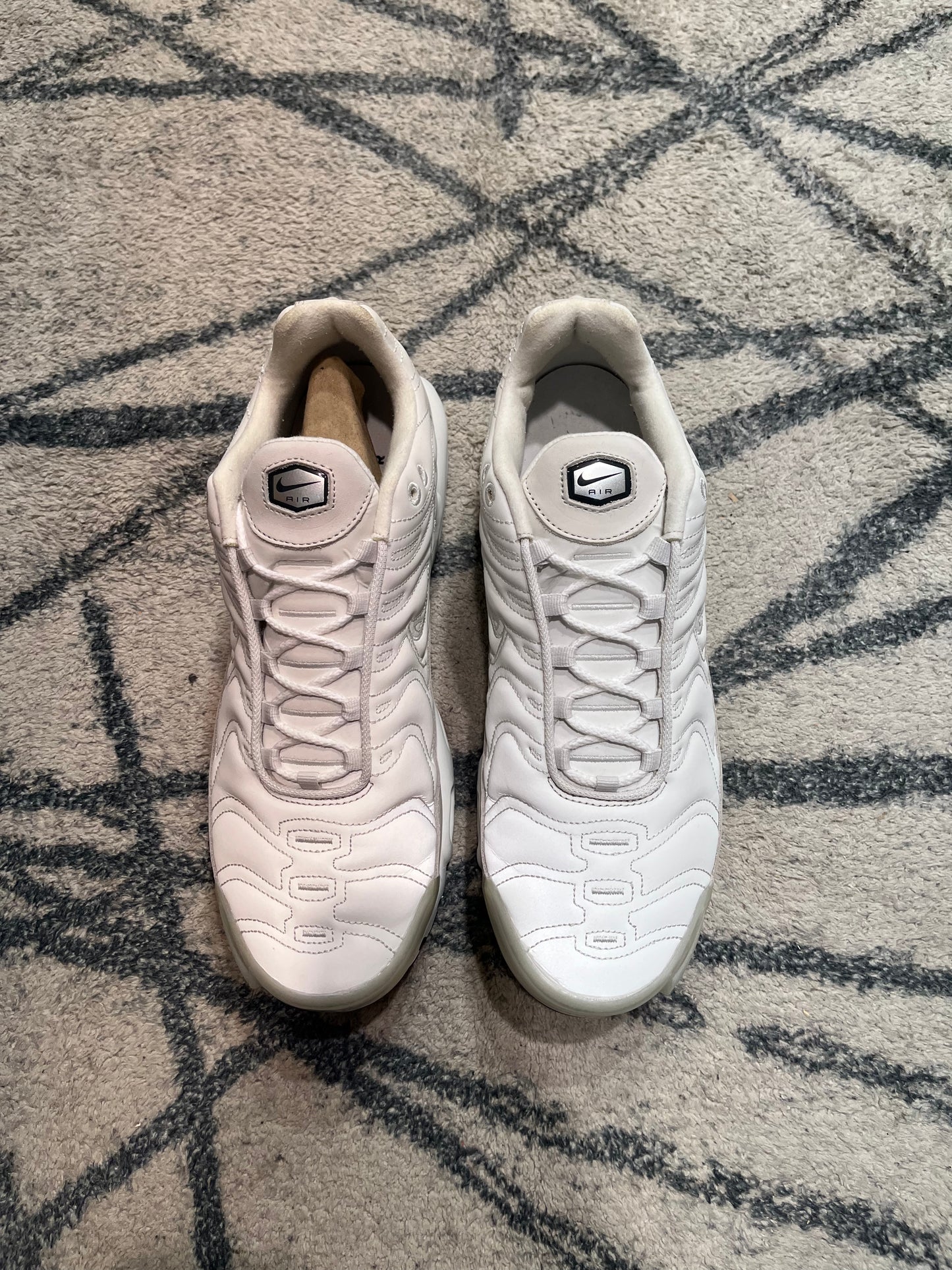 Nike Air Max Plus Platinum Tint