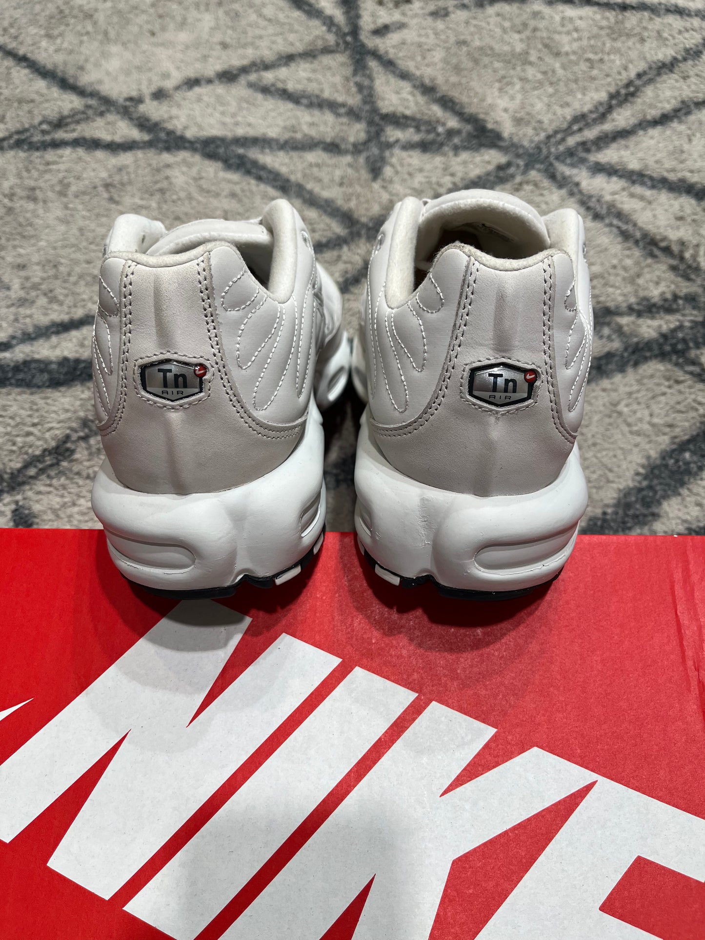Nike Air Max Plus Platinum Tint
