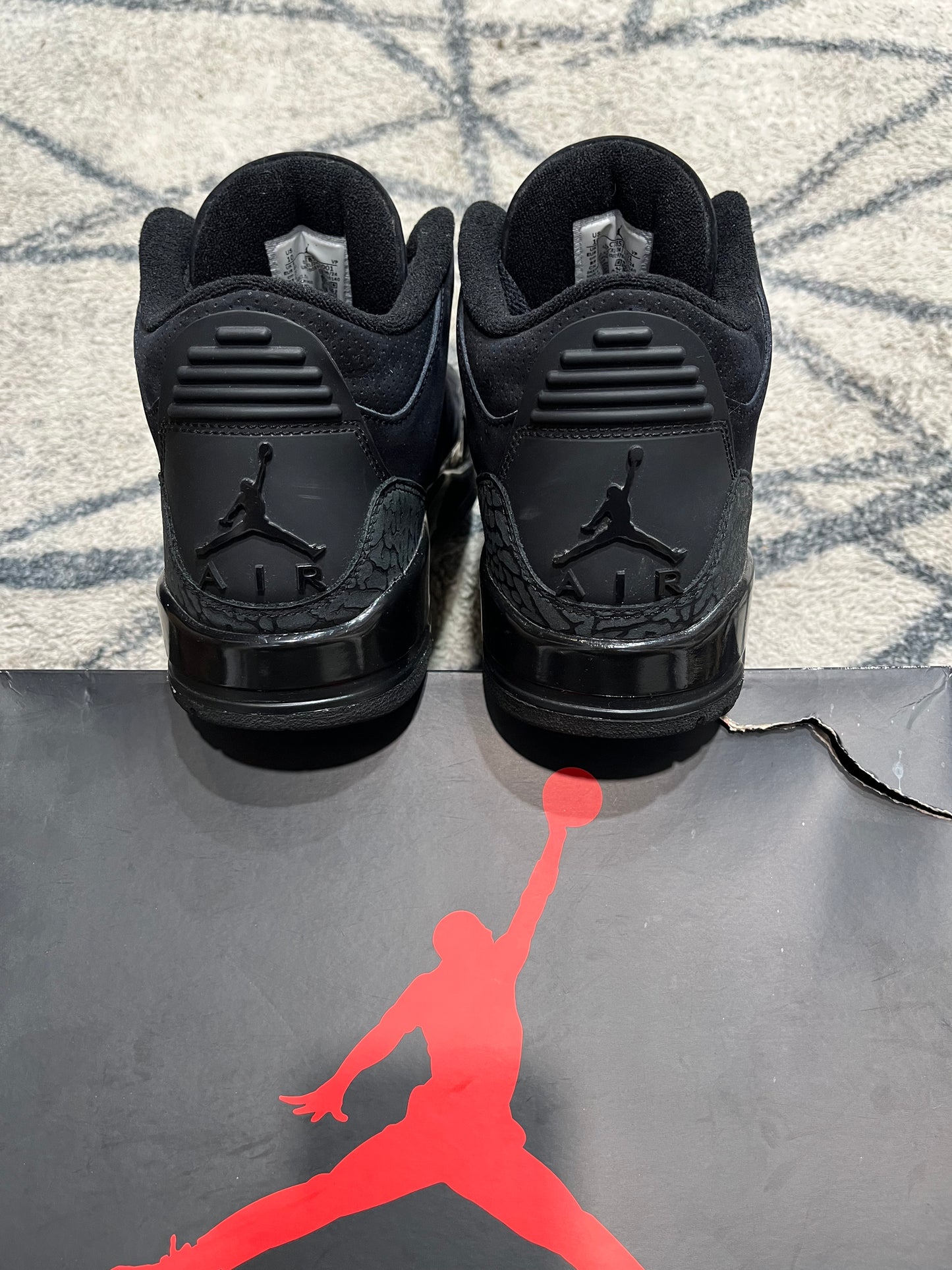Air Jordan 3 Black Cat