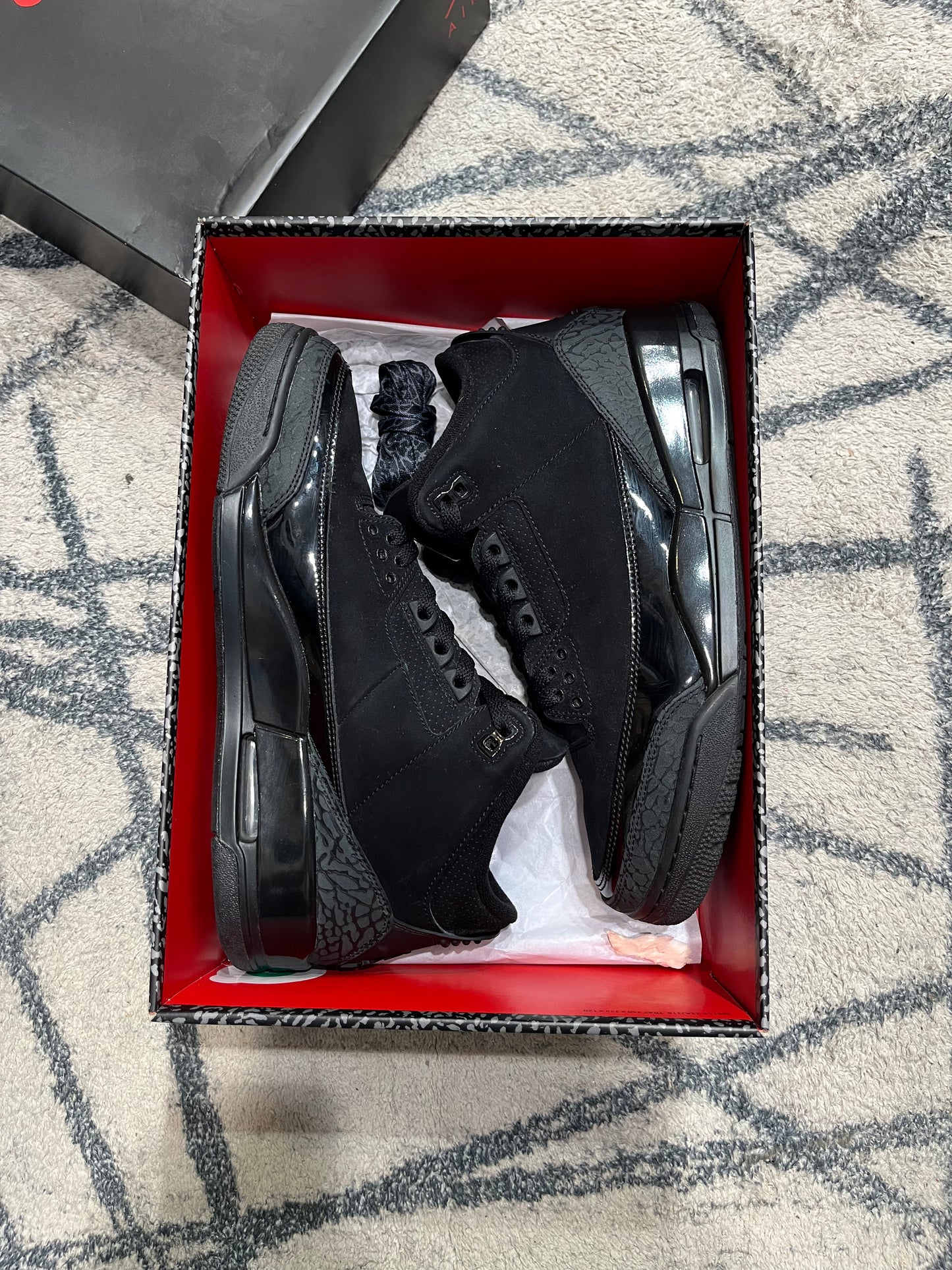 Air Jordan 3 Black Cat