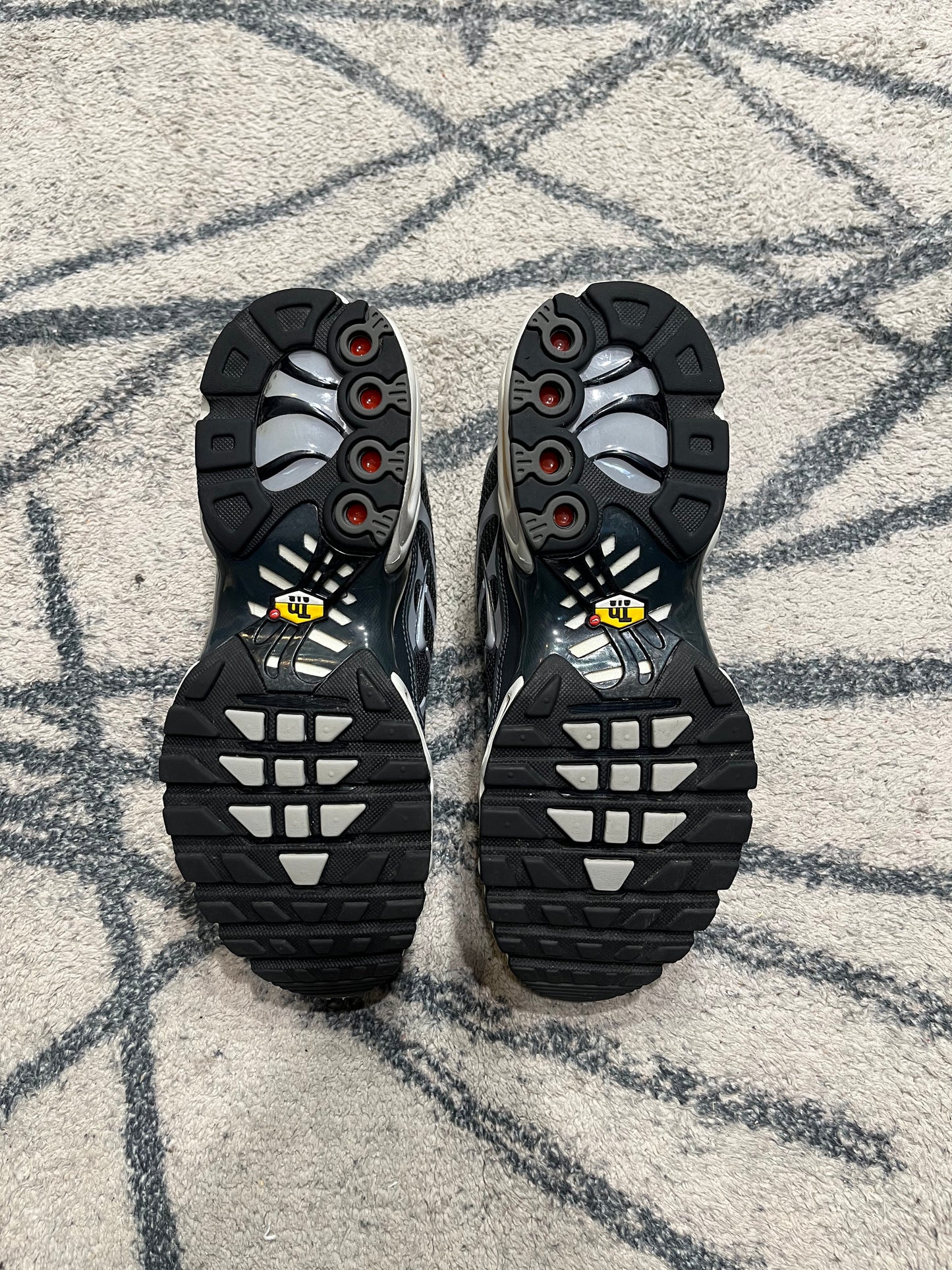 Nike Air Max Plus Greyscale