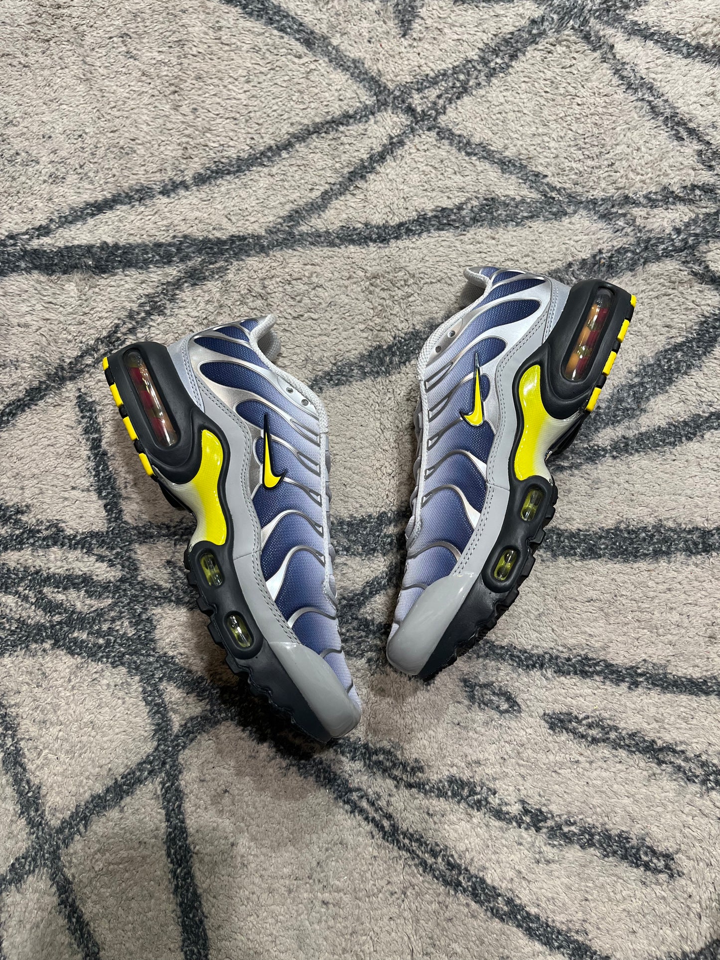 Nike Air Max Plus Obsidian Silver