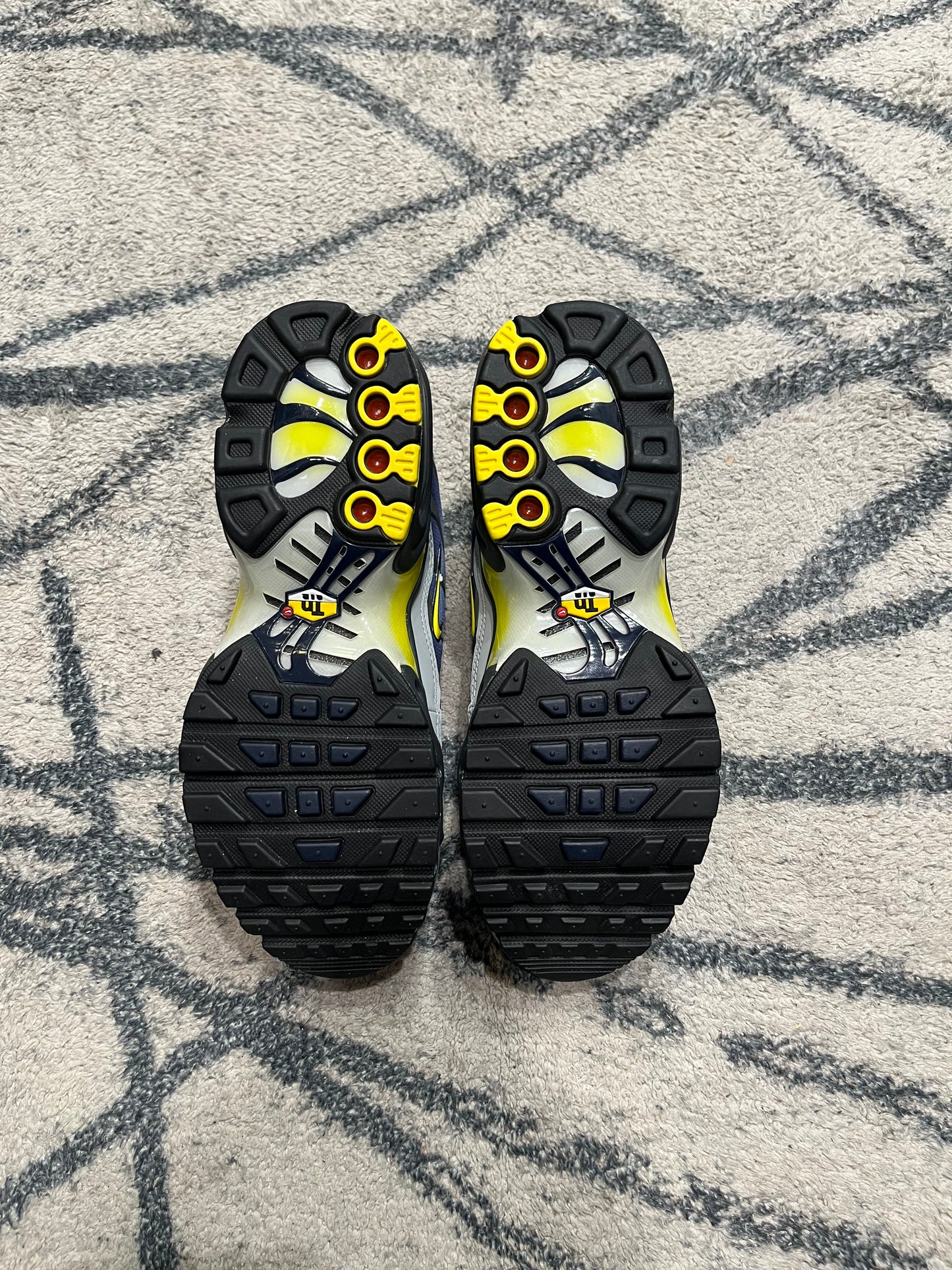 Nike Air Max Plus Obsidian Silver