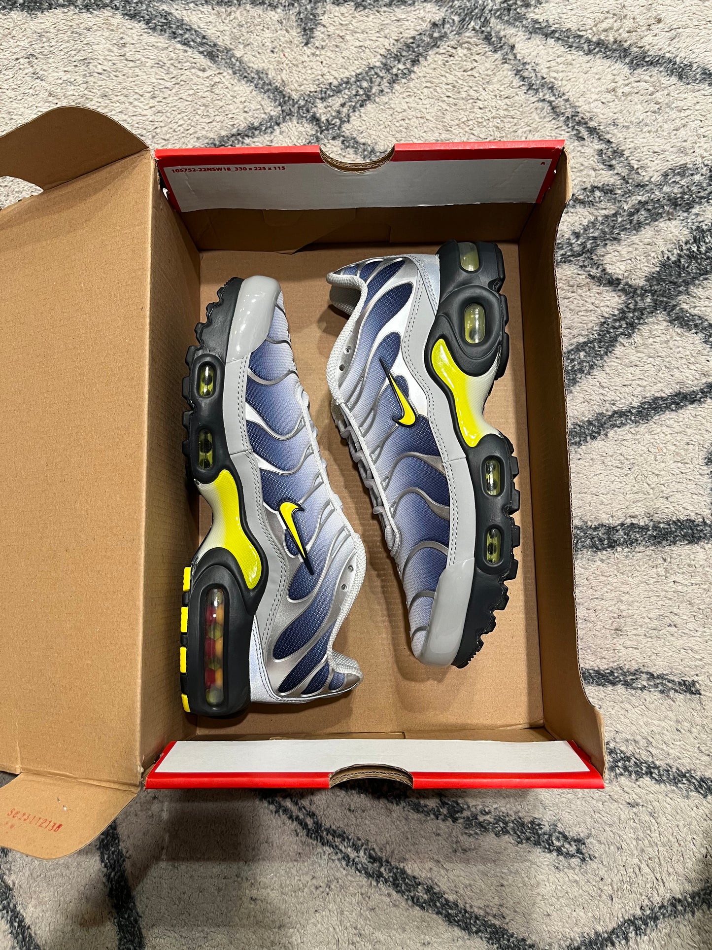Nike Air Max Plus Obsidian Silver