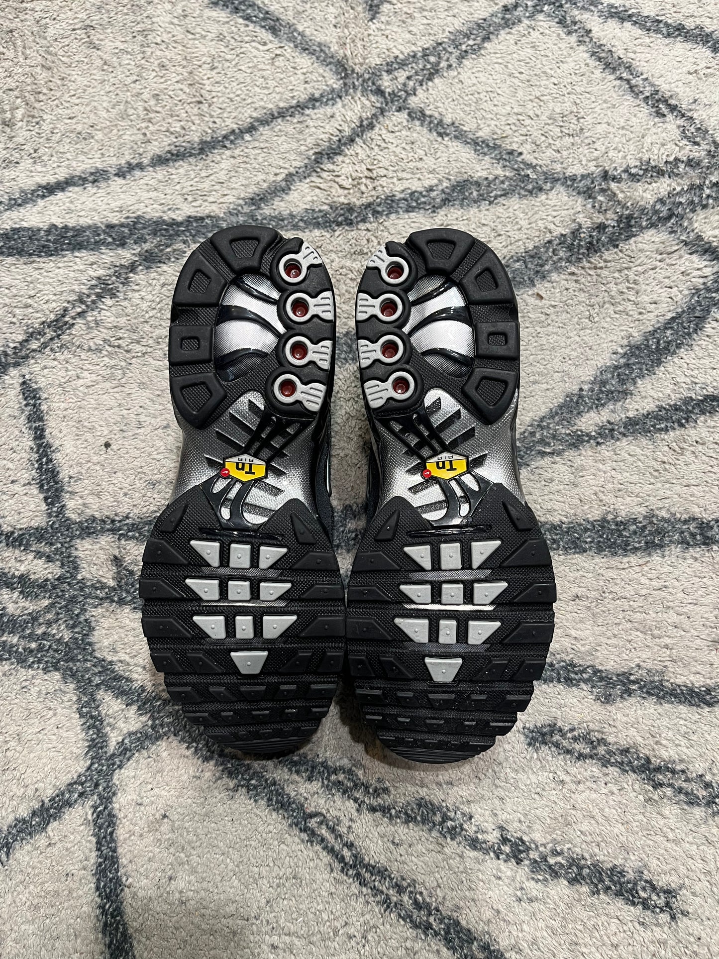 Nike Air Max Plus Silver Black