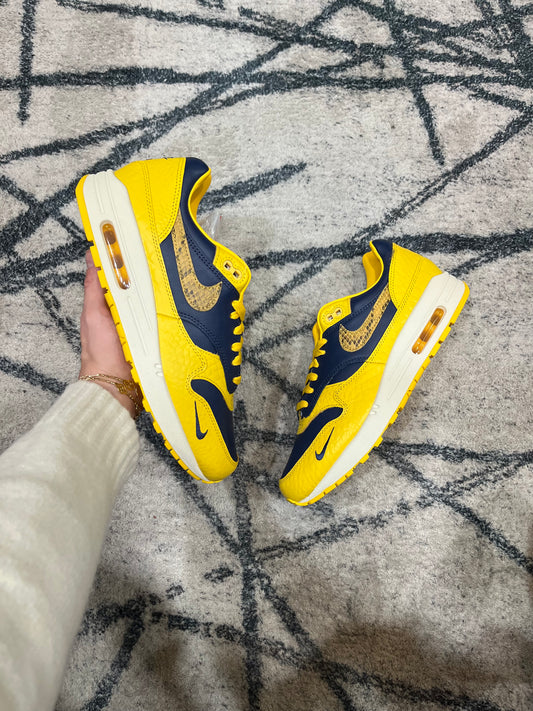 Nike Air Max 1  Michigan