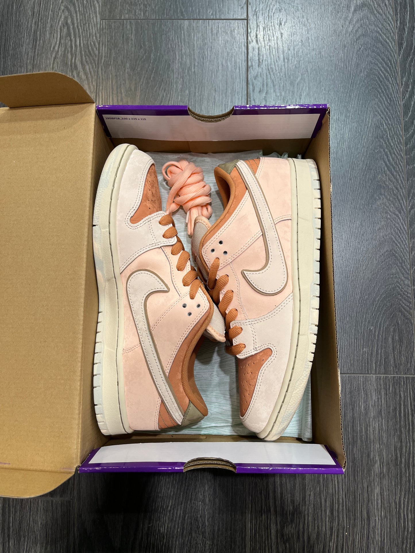Nike Dunk SB Trocadero Garden