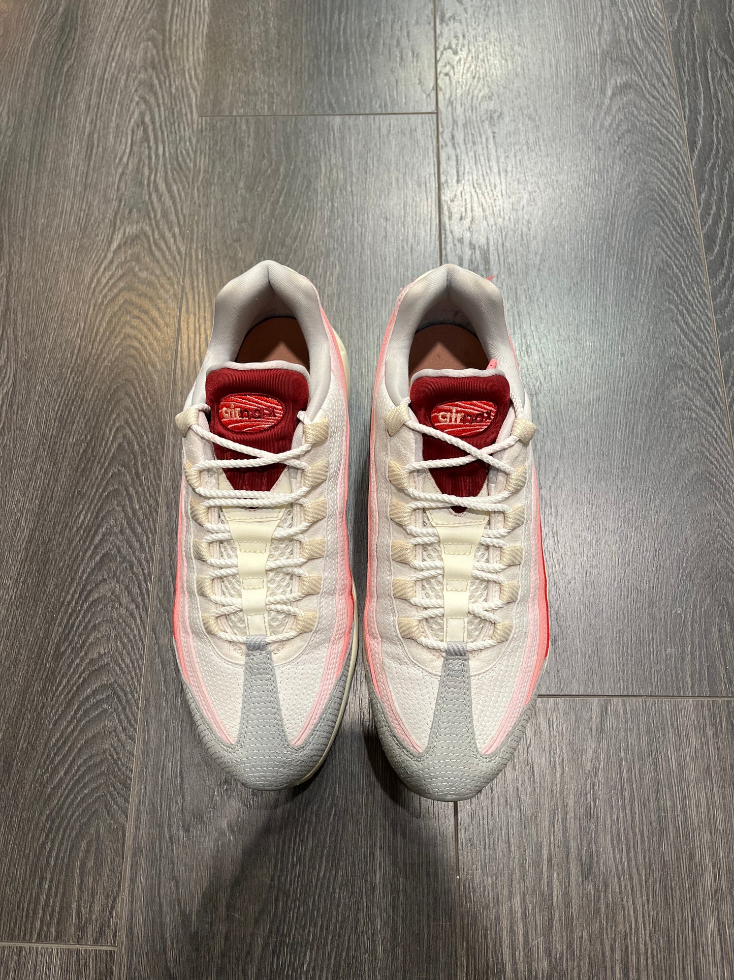 Nike Air Max 95 Anatomy Of Air