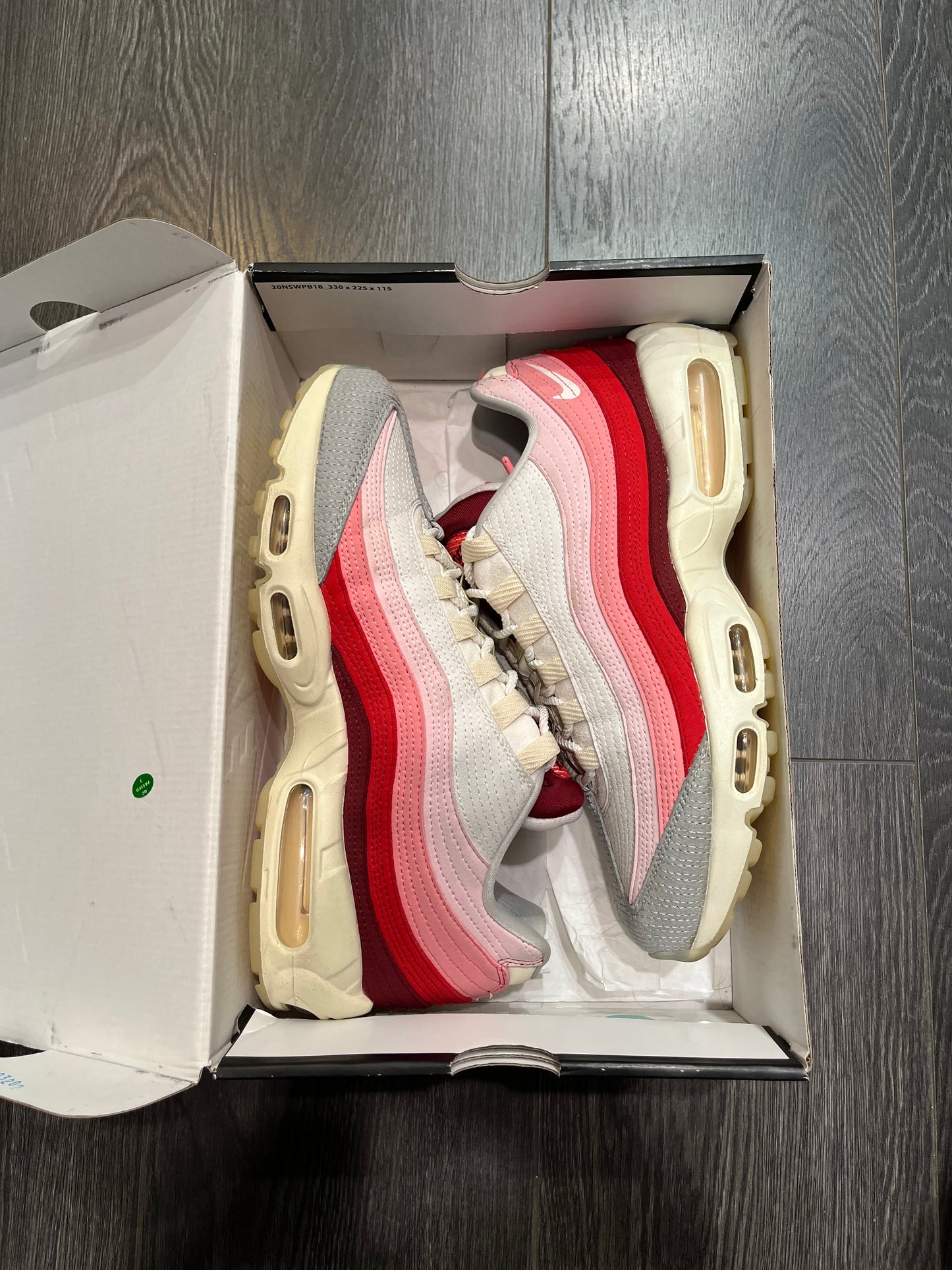 Nike Air Max 95 Anatomy Of Air