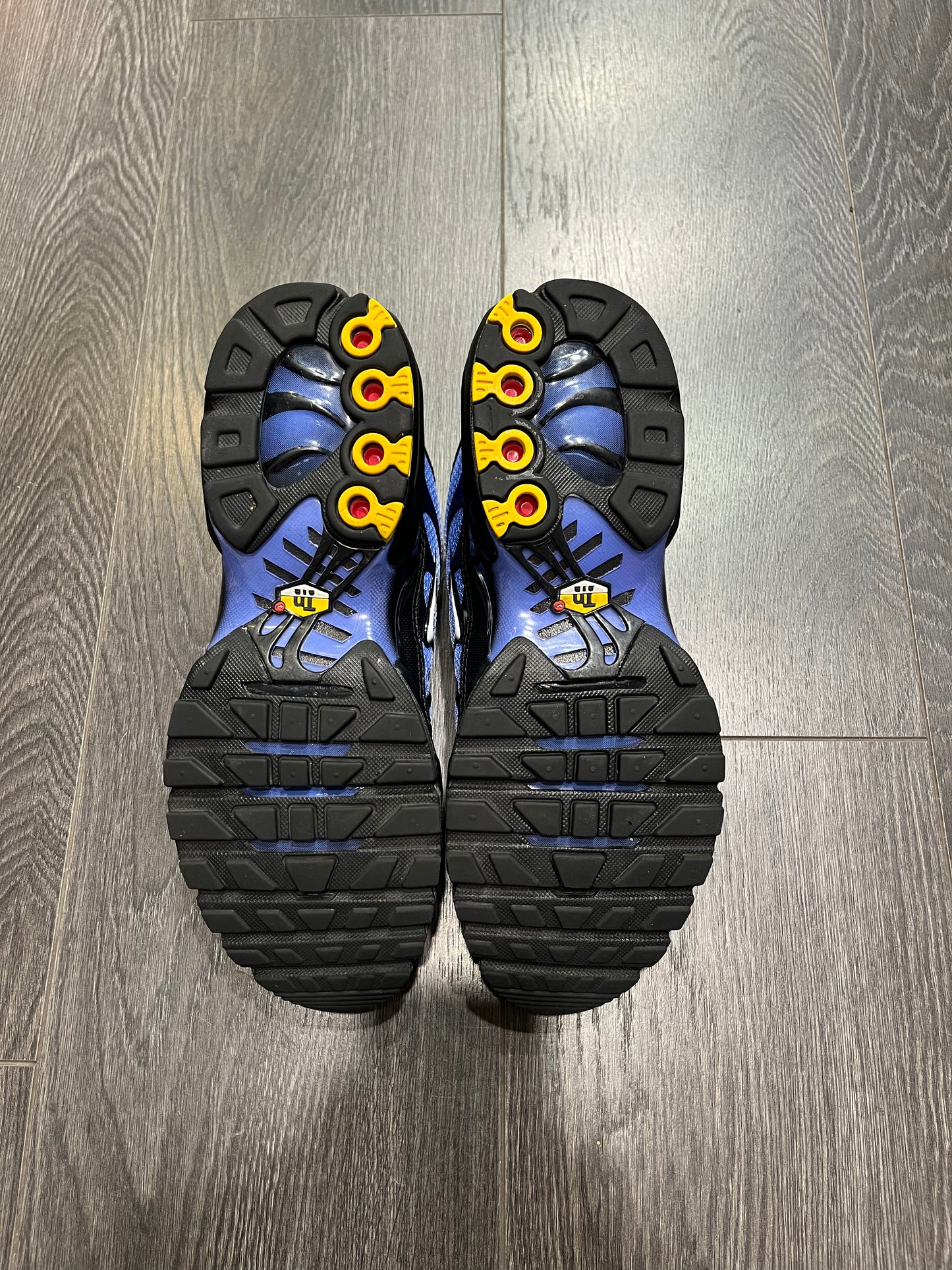 Nike Air Max Plus Saphire