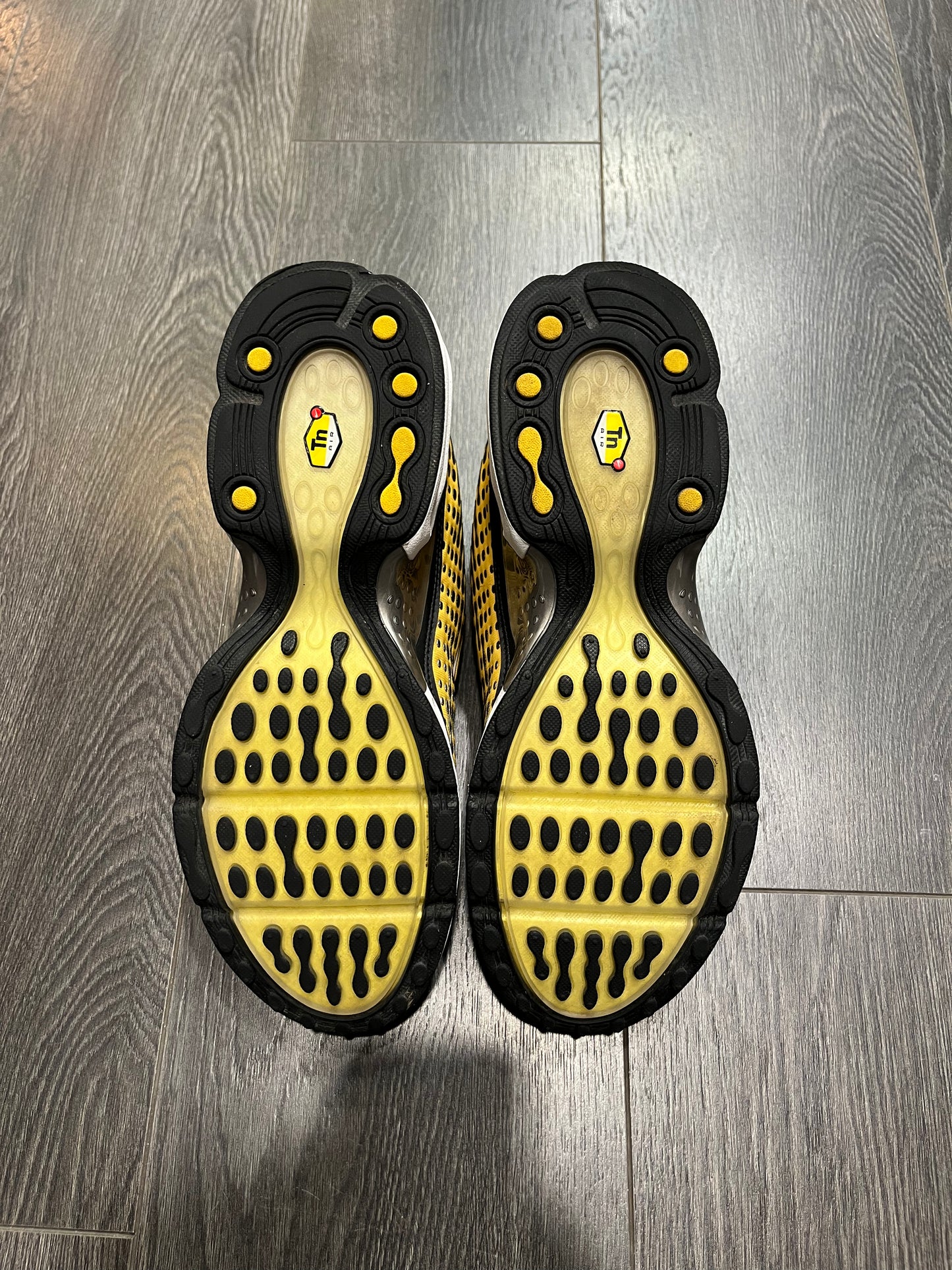 Nike Air Max Plus VII Maze