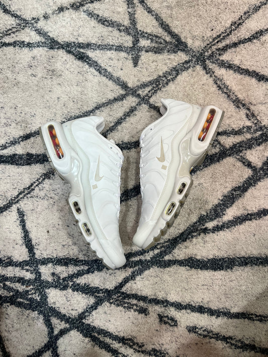 Nike Air Max Plus ACW