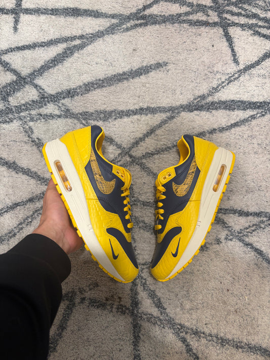 Nike Air Max 1 Michigan
