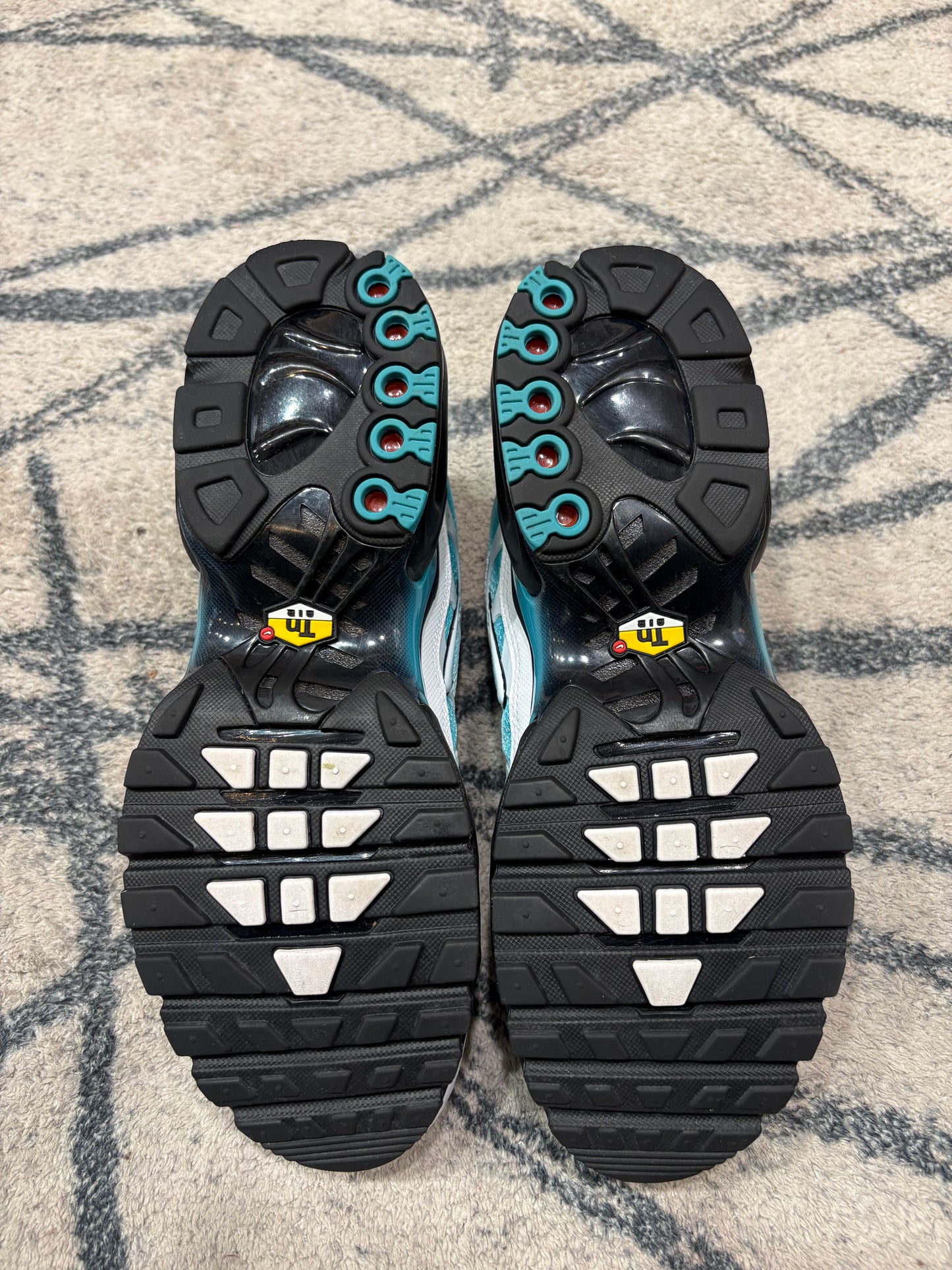 Nike Air Max Plus Dusty Cactus White