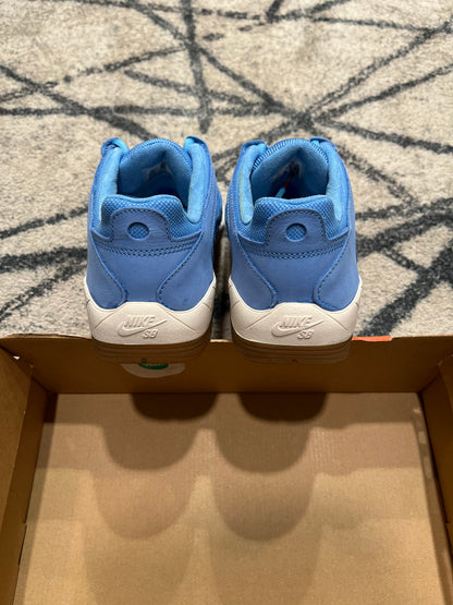 Nike SB Vertebrae University Blue